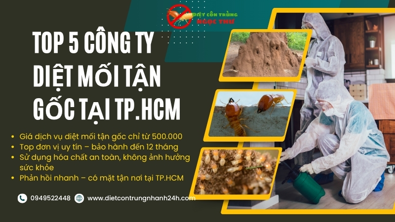 Công ty diệt mối tận gốc tại tphcm