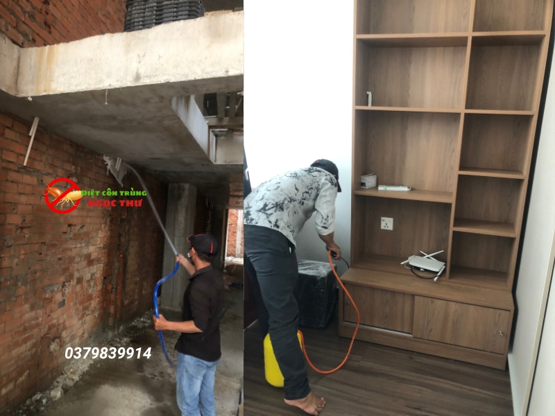 Công ty diệt mối tận gốc tại tphcm