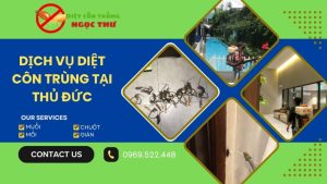Dịch vụ diệt côn trùng tại Thủ Đức chuyên nghiệp của Ngọc Thư