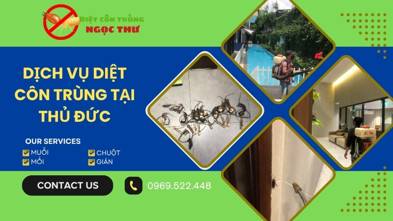 Dịch vụ diệt côn trùng tại Thủ Đức chuyên nghiệp của Ngọc Thư