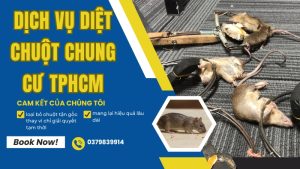 Dịch vụ diệt chuột cho chung cư TPHCM