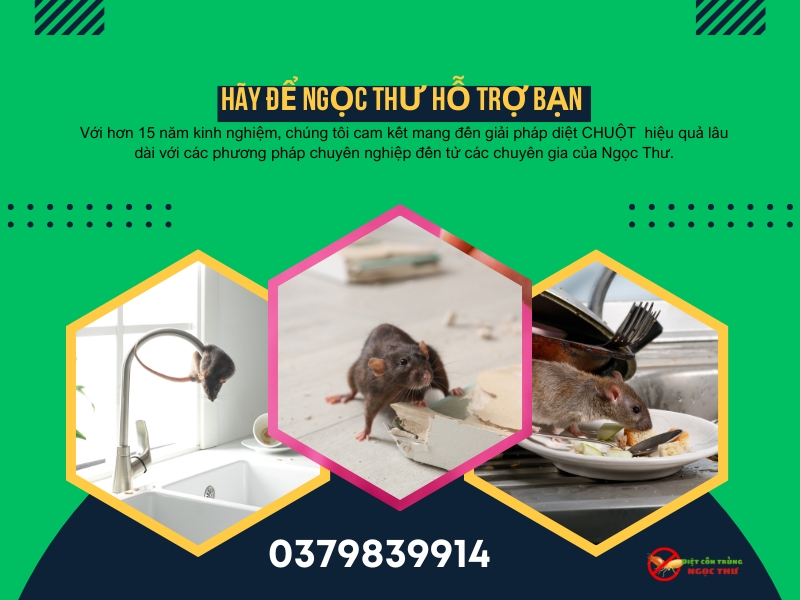 Công ty dịch vụ diệt côn trùng Ngọc Thư cung cấp Dịch vụ diệt chuột cho chung cư tphcm
