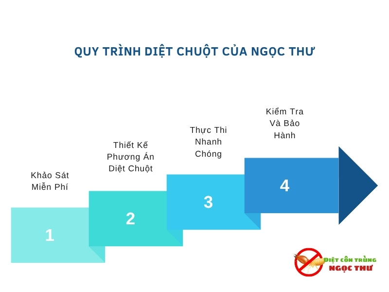 Dịch Vụ Diệt Chuột Tại Dĩ An – Chuyên Gia Diệt Chuột Tại Dĩ An 4 Quy trình diệt chuột của Ngọc Thư