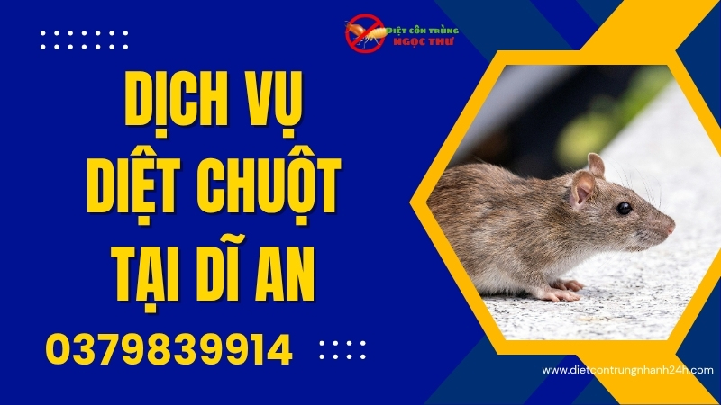 Dịch Vụ Diệt Chuột Tại Dĩ An – Chuyên Gia Diệt Chuột Tại Dĩ An 1 Dịch vụ diệt chuột tại Dĩ An