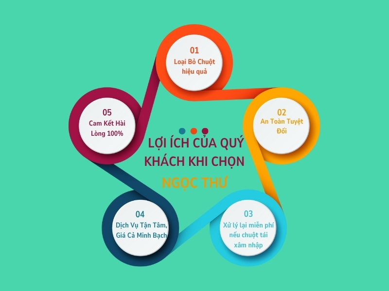 Dịch Vụ Diệt Chuột Tại Dĩ An – Chuyên Gia Diệt Chuột Tại Dĩ An 3 Lợi ích khi chọn công ty diệt chuột Ngọc Thư