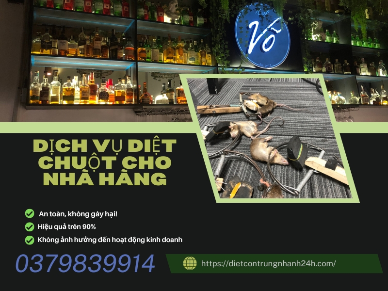 Dịch Vụ Diệt Côn Trùng Cho Nhà Hàng | Ngọc Thư 3 Dịch vụ diệt chuột cho nhà hàng