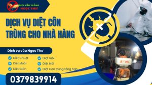 Dịch vụ diệt côn trùng cho nhà hàng | Ngọc Thư