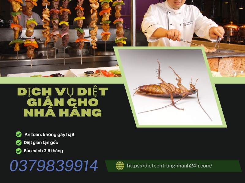 Dịch Vụ Diệt Côn Trùng Cho Nhà Hàng | Ngọc Thư 2 Dịch vụ diệt gián cho nhà hàng