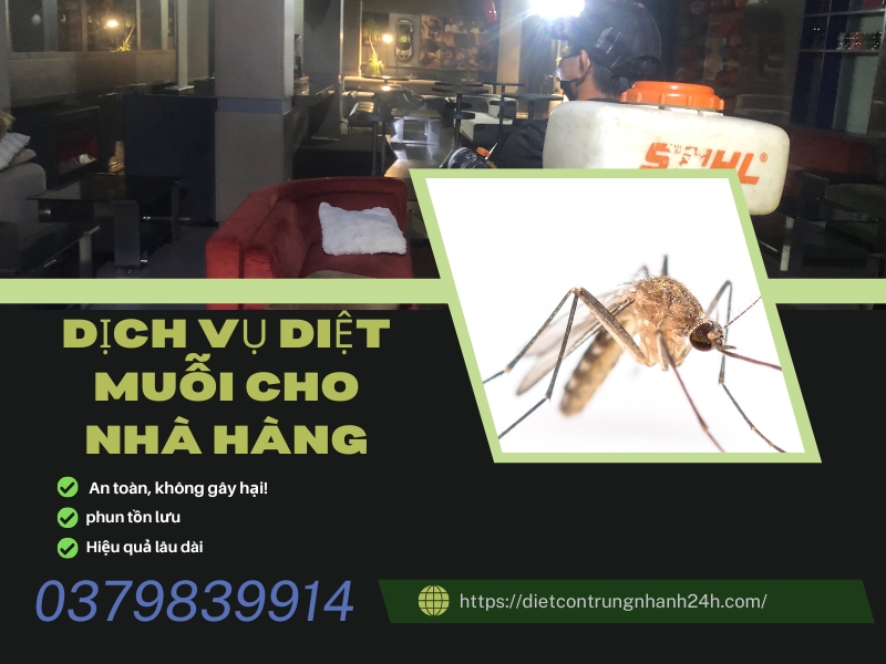 Dịch Vụ Diệt Côn Trùng Cho Nhà Hàng | Ngọc Thư 4 Dịch vụ diệt muỗi cho nhà hàng