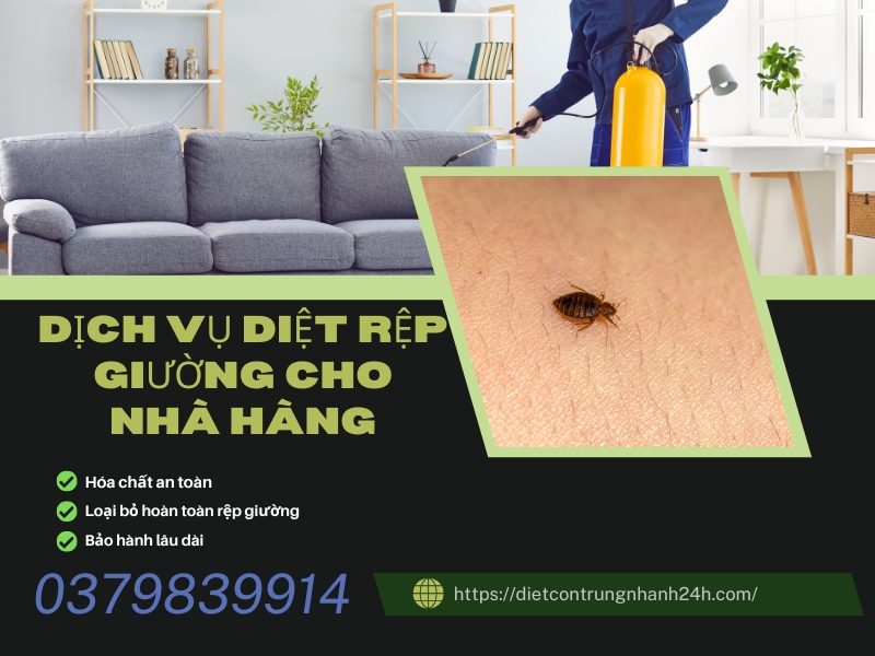 Dịch Vụ Diệt Côn Trùng Cho Nhà Hàng | Ngọc Thư 6 Dịch vụ diệt rệp giường cho nhà hàng