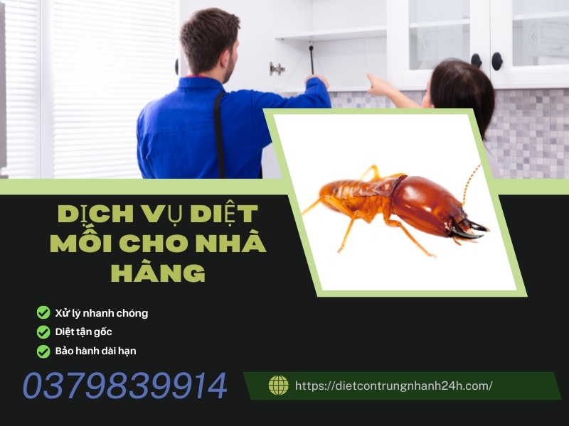 Dịch Vụ Diệt Côn Trùng Cho Nhà Hàng | Ngọc Thư 7 Dịch vụ diệt mối cho nhà hàng