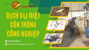 Dịch vụ diệt côn trùng công nghiệp