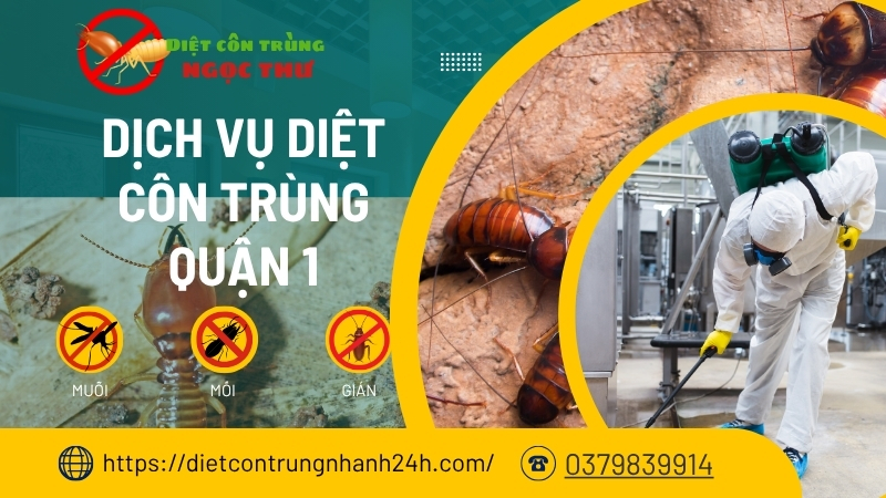 Dịch vụ diệt côn trùng quận 1 Ngọc Thư