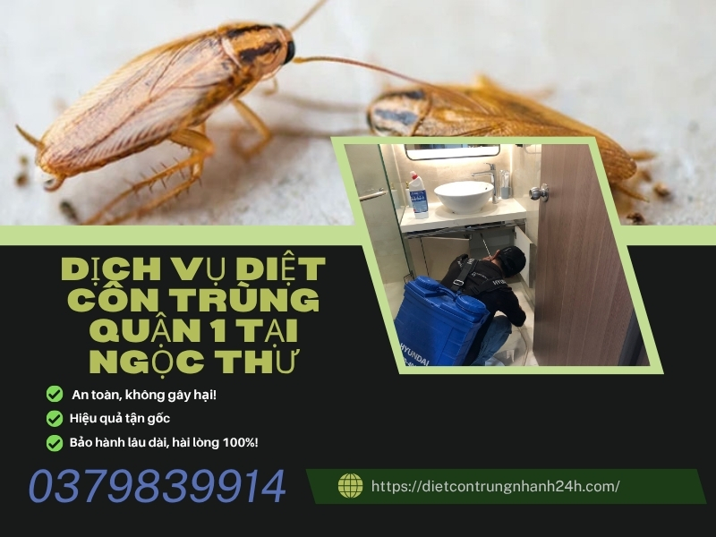 Dịch vụ diệt côn trùng quận 1 tại ngọc thư