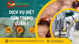 Dịch vụ diệt côn trùng quận 1 tphcm