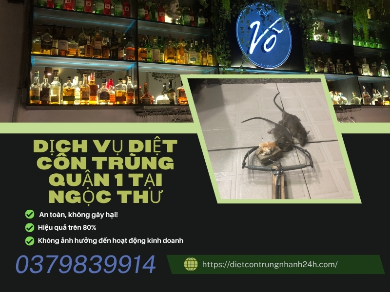 Công ty dịch vụ diệt côn trùng quận 1 uy tín, giá rẻ
