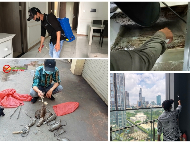 Dịch vụ diệt côn trùng quận 3 giá rẻ, uy tín, chính sách bảo hành linh hoạt