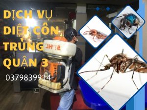 Dịch vụ diệt côn trùng quận 3 giá rẻ