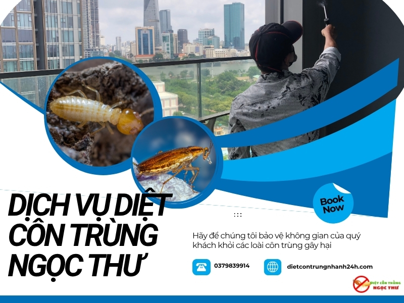 Lợi ích khi chọn dịch vụ diệt côn trùng quận 3 giá rẻ Ngọc Thư