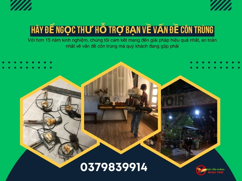 Dịch vụ diệt côn trùng quận 3 giá rẻ, uy tín, bảo hành lên đến 10 năm