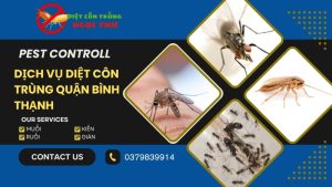 Dịch vụ diệt côn trùng quận Bình Thạnh giá rẻ