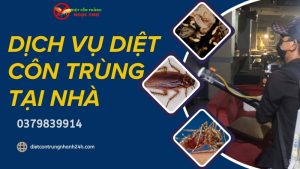 Dịch vụ diệt côn trùng tại nhà chuyên nghiệp