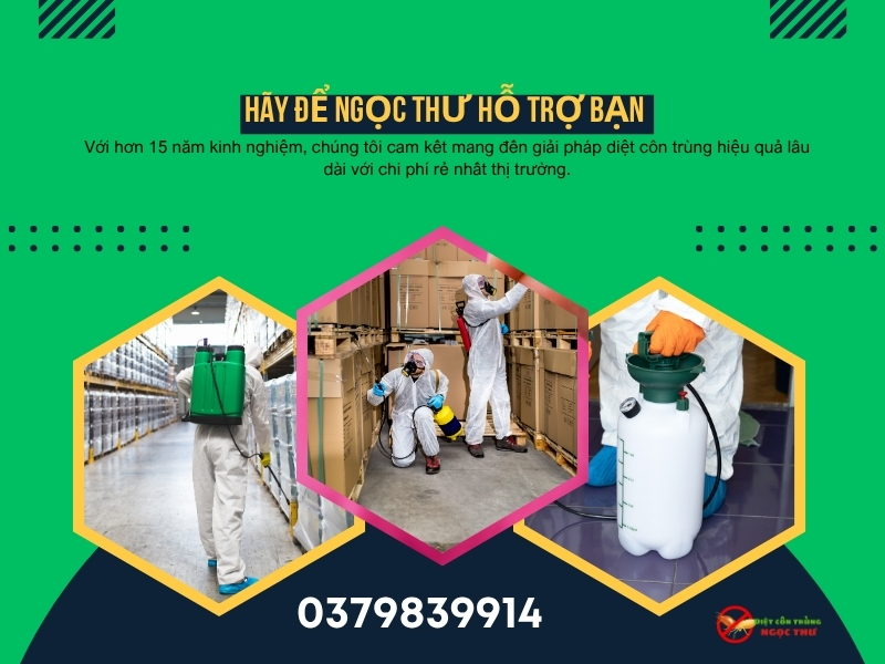 Công ty dịch vụ diệt côn trùng tại nhà 