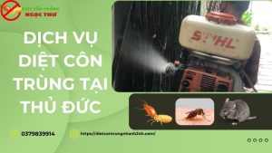 Dịch vụ diệt côn trùng tại thủ đức