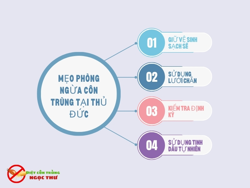 Dịch Vụ Diệt Côn Trùng Tại Thủ Đức – Dịch vụ diệt muỗi, gián, mối, chuột tại Thủ Đức 5 Mẹo phòng ngừa côn trùng