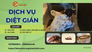 Dịch vụ diệt gián ngọc thư