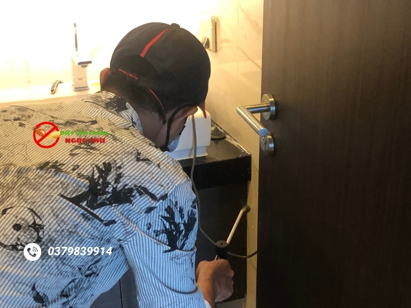 dịch vụ diệt gián tận gốc ngọc thư