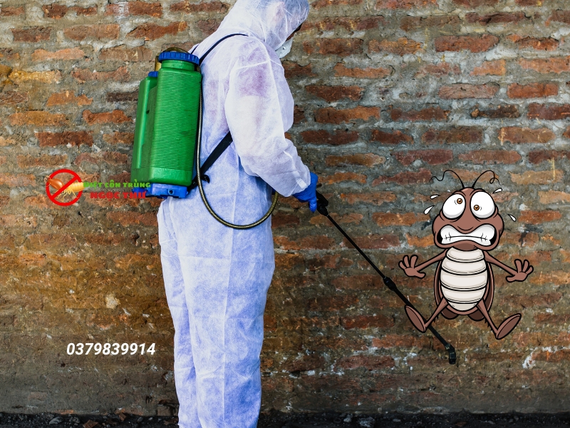 Dịch vụ diệt gián tận gốc  quận 10 Ngọc Thư