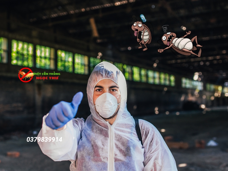 Công ty dịch vụ diệt gián tận gốc  quận 10 Ngọc Thư