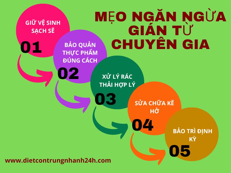Mẹo giúp quý khách ngăn ngừa gián xuất hiện