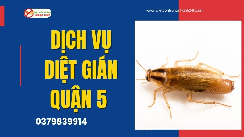 Dịch Vụ Diệt Gián Quận 5 | Công Ty Diệt Côn Trùng Tại Quận 5 ★★ 1 Dịch vụ diệt gián quận 5, diệt côn trùng Ngọc Thư