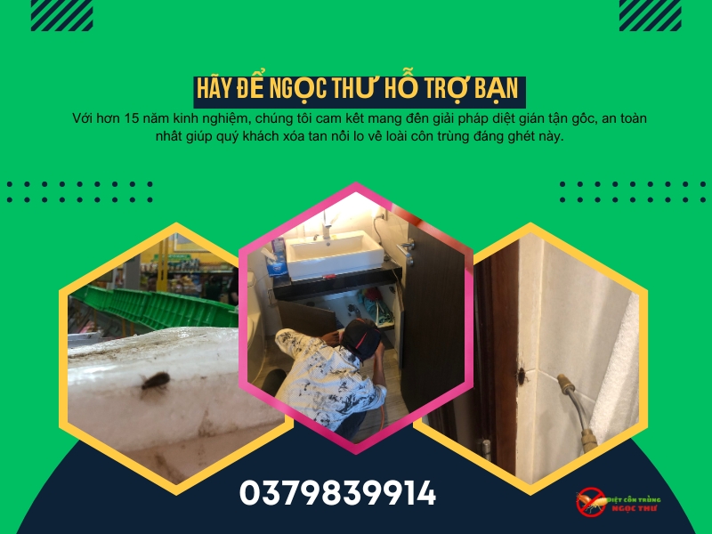 Dịch vụ diệt gián quận 6 của công ty Ngọc Thư với hơn 15 năm kinh nghiệm