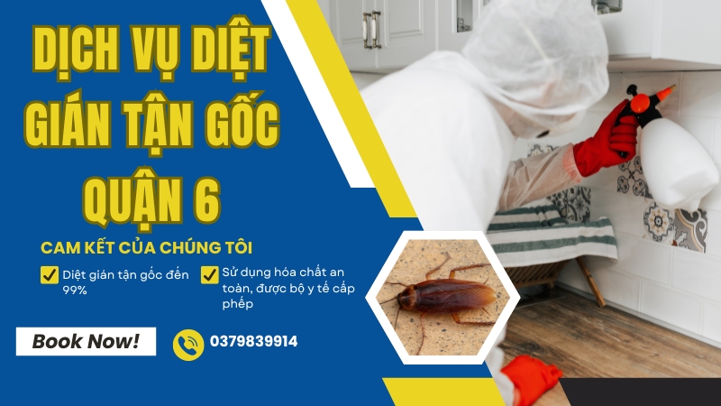 Dịch vụ diệt gián quận 6