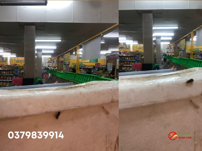 Dịch vụ diệt gián tận gốc quận 6. xử dụng hóa chất an toàn được bộ y tế cấp phép