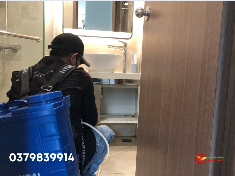 Dịch vụ diệt gián và côn trùng chuyên nghiệp tại TPHCM