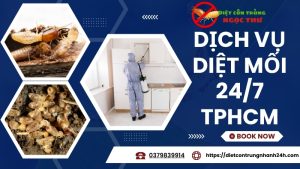 Dịch vụ diệt mối 24/7 TPHCM Ngọc Thư