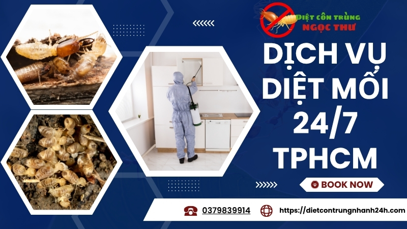Dịch Vụ Diệt Mối 24/7 TPHCM | Bảo Hành 15 Năm 1 Dịch vụ diệt mối 24/7 TPHCM Ngọc Thư