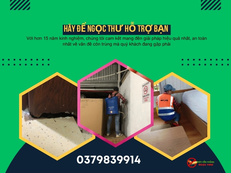 Đơn vị diệt mối uy tín tại Hóc Môn