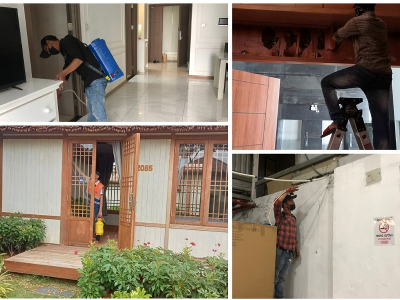 Dịch vụ diệt mối quận 12, diệt tận gốc, an toàn tuyệt đối