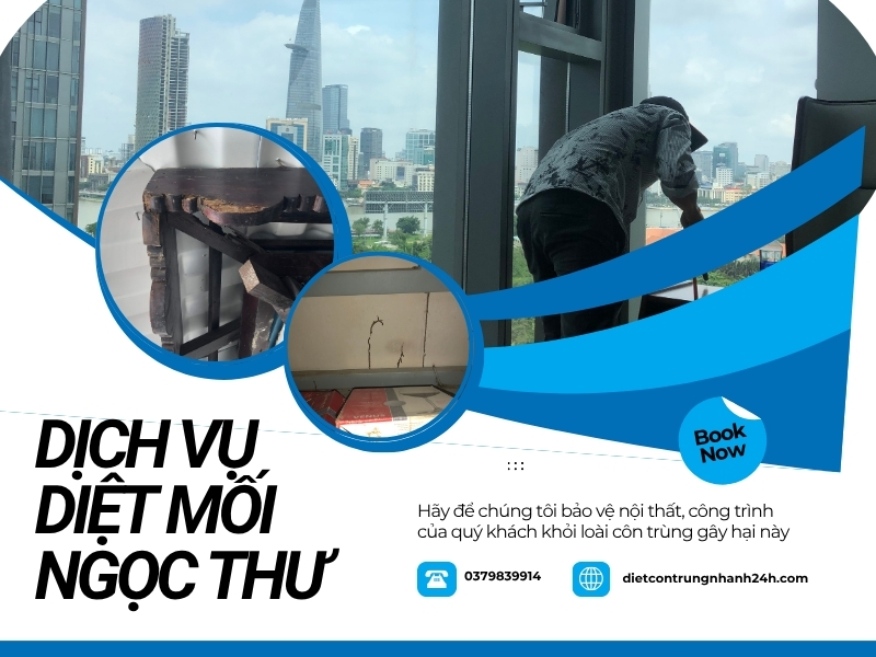 Dịch vụ diệt mối Ngọc Thư, uy tín hơn 15 năm