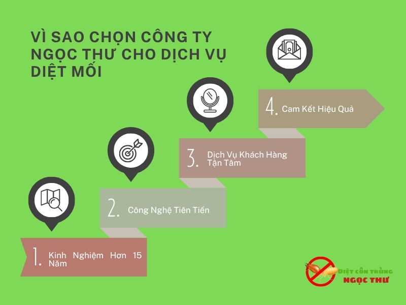 Dịch Vụ Diệt Mối Tại Thủ Dầu Một – Chuyên Gia Diệt Mối Tại Thủ Dầu Một 5 Vì sao quý khách nên chọn Ngọc Thư