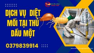 Dịch vụ diệt mối tại Thủ Dầu Một