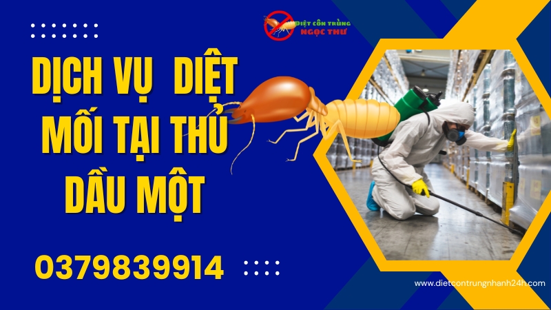 Dịch Vụ Diệt Mối Tại Thủ Dầu Một – Chuyên Gia Diệt Mối Tại Thủ Dầu Một 1 Dịch vụ diệt mối tại Thủ Dầu Một