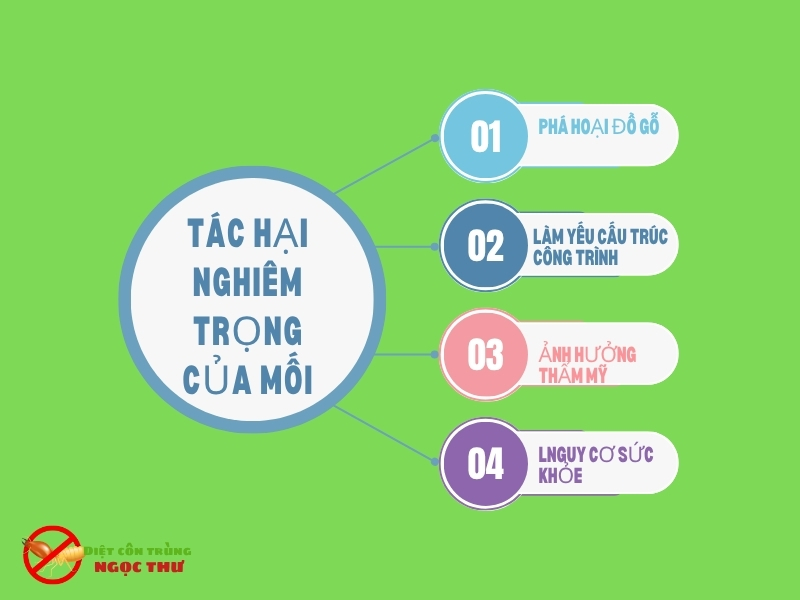 Dịch Vụ Diệt Mối Tại Thủ Dầu Một – Chuyên Gia Diệt Mối Tại Thủ Dầu Một 2 Tác hại nghiêm trọng của mối
