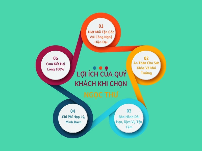 Dịch Vụ Diệt Mối Tại Thủ Dầu Một – Chuyên Gia Diệt Mối Tại Thủ Dầu Một 3 Lợi ích khi chọn dịch vụ diệt mối của Ngọc Thư