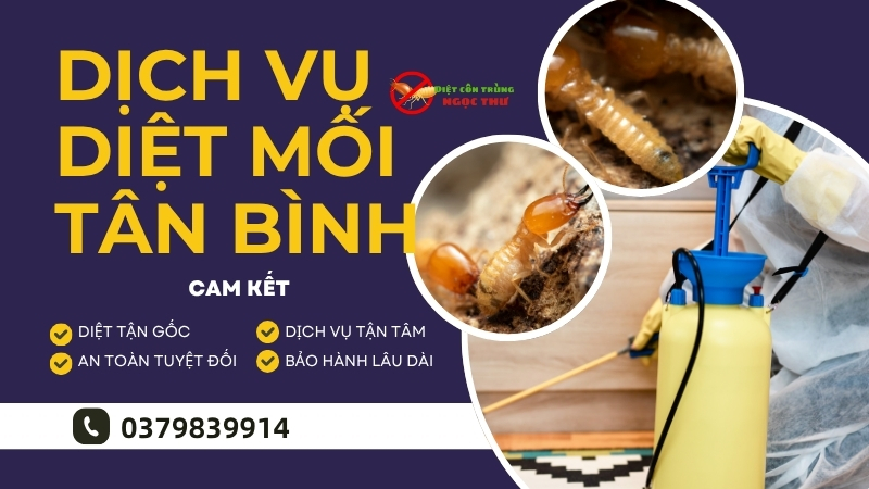 Dịch vụ diệt mối Tân Bình, TPHCM